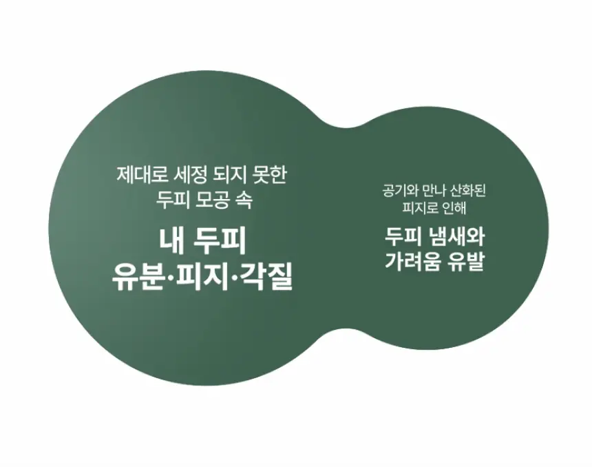 [두피 스케일링]피지/각질/냄새 전문가케어 솔랩 아쿠아픽 두피스케일러 250ml + 브러쉬 기획 상세페이지 6